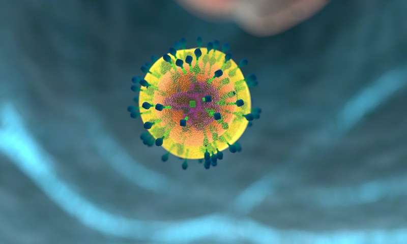 Un descubrimiento innovador encuentra un nuevo vínculo entre las enfermedades autoinmunes y una bacteria intestinal