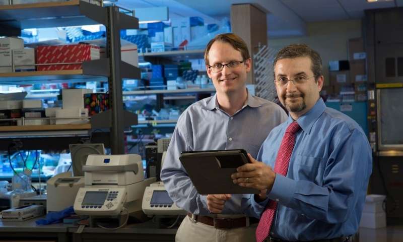 Investigadores desarrollan análisis de orina para el cáncer de vejiga