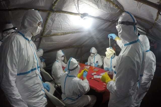 Caza de los orígenes del ébola