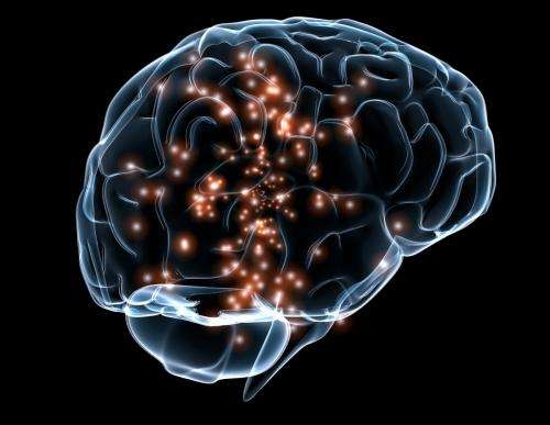 El nuevo modelo neural revela cómo el cerebro se adapta a la nueva información