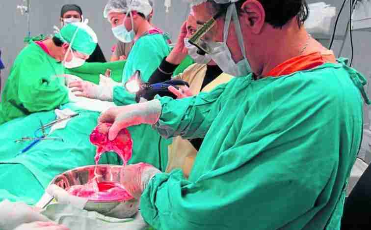Cirujanos concluyen el primer trasplante con donante vivo de un riñón en pacientes con VIH