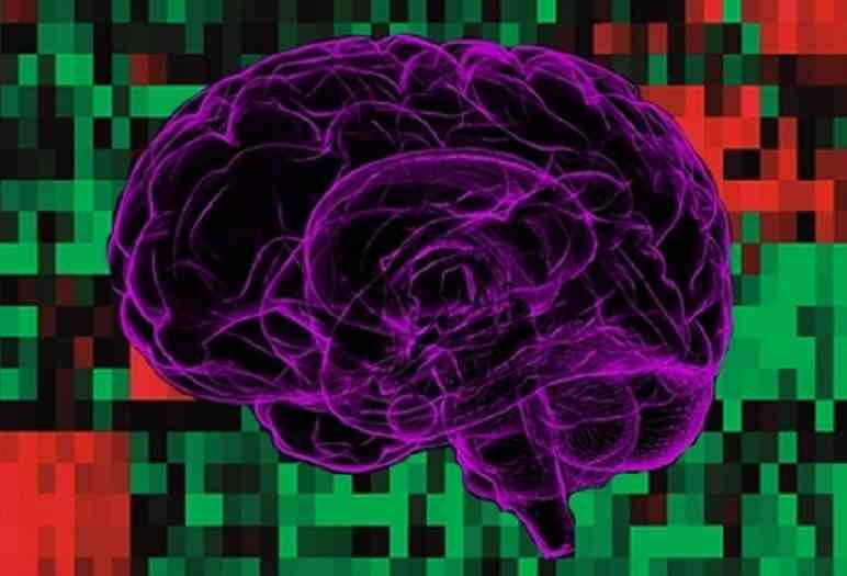 Nueva tecnología de bajo coste para la clasificación de los tumores cerebrales más comunes en niños