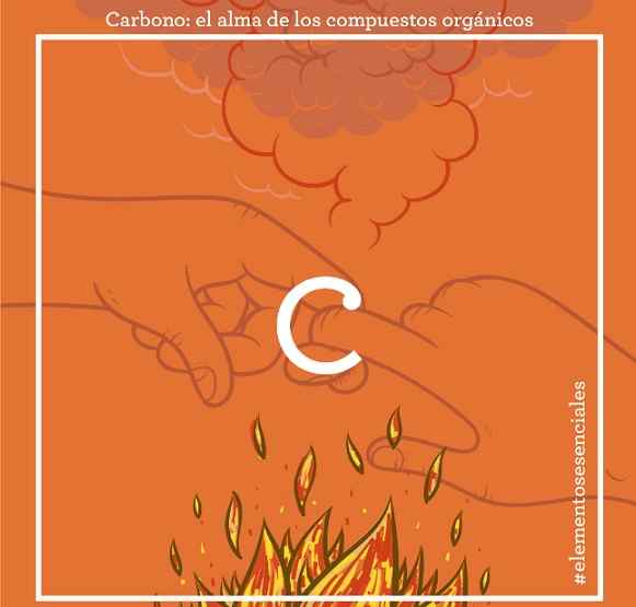 Carbono, el alma de los compuestos orgánicos