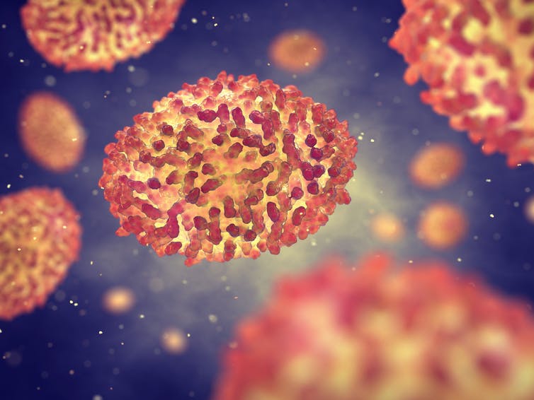 Todavía existen muestras de viruela en el mundo: ¿debemos destruirlas?