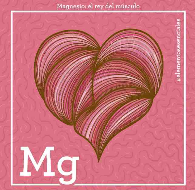 El magnesio, el rey del músculo