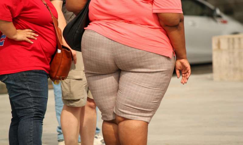 La obesidad exacerba muchas causas de muerte, pero los riesgos son diferentes para hombres y mujeres