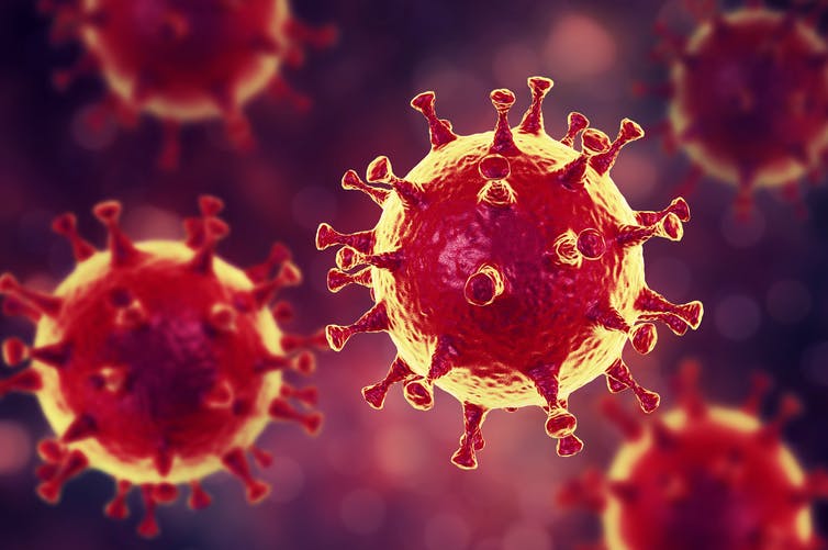 Guía para convivir con un contagiado de coronavirus: #EspecialCORONAVIRUS