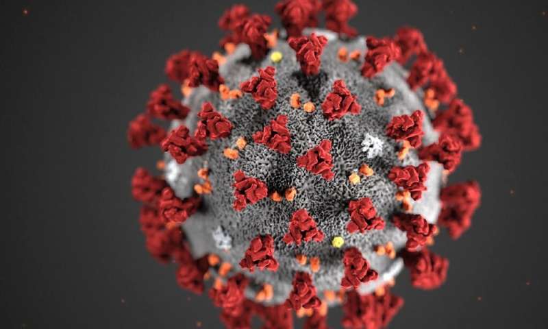 La estrategia defectuosa de prueba de coronavirus contribuyó a la propagación de EEUU: expertos