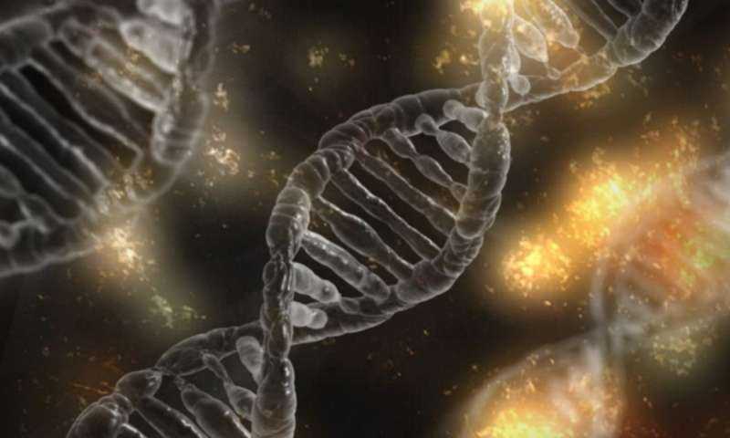 Los científicos identifican las causas genéticas de las enfermedades mitocondriales