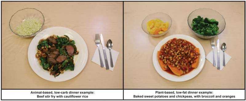 Un estudio compara una dieta baja en grasas y basada en plantas con una dieta baja en carbohidratos a base de animales