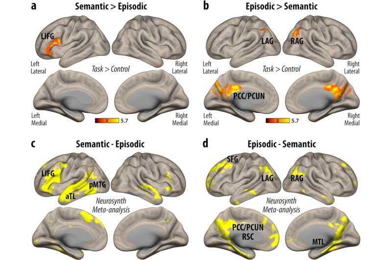 Saber cómo el cerebro recupera datos puede ayudar a las personas con trastornos de la memoria