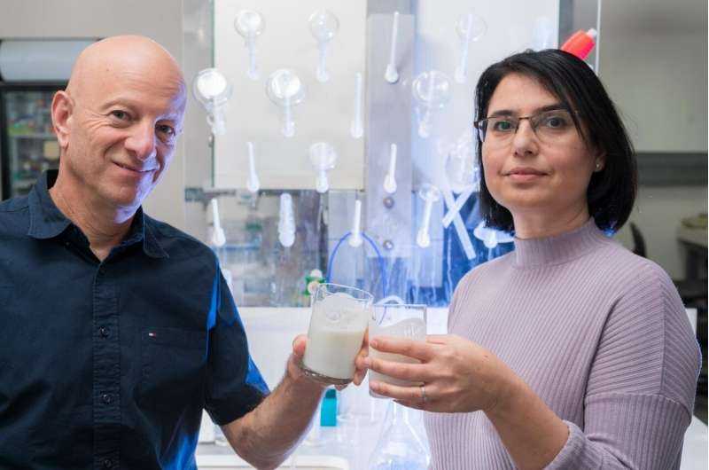 Investigadores que desarrollan fármacos probióticos a base de yogur