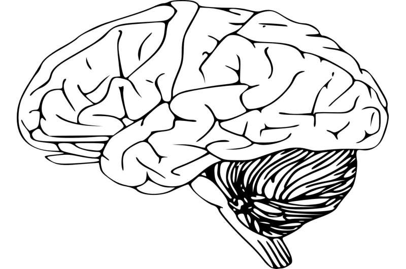 Se ha demostrado que el ‘efecto Mozart’ reduce la actividad cerebral epiléptica, revela una nueva investigación