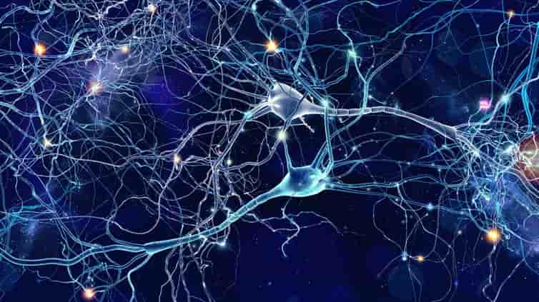 ¿Cómo son las conexiones neuronales de las personas con alzhéimer?