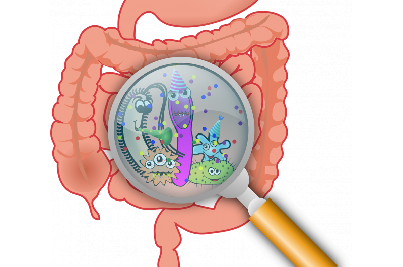 Las bacterias intestinales podrían ser un indicador del riesgo de cáncer de colon