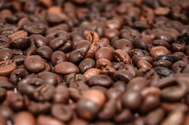 Hora del café: la cafeína mejora la reacción a los objetivos en movimiento