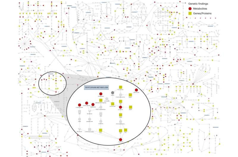 Identificar genes que controlan nuestra ‘individualidad metabólica’ y el riesgo de enfermedad