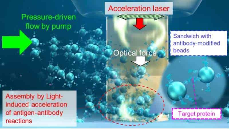 El método de detección de proteínas ultrarrápido y ultrasensible permite el diagnóstico temprano de enfermedades