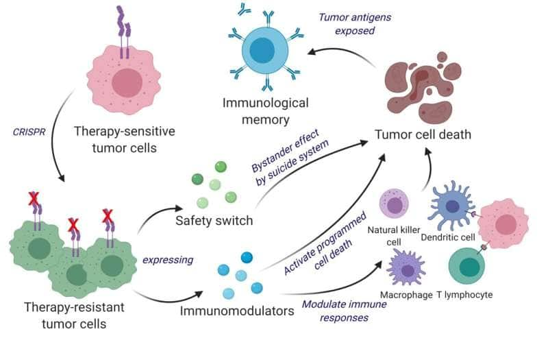 Los científicos desarrollan una vacuna contra el cáncer para matar y prevenir simultáneamente el cáncer cerebral