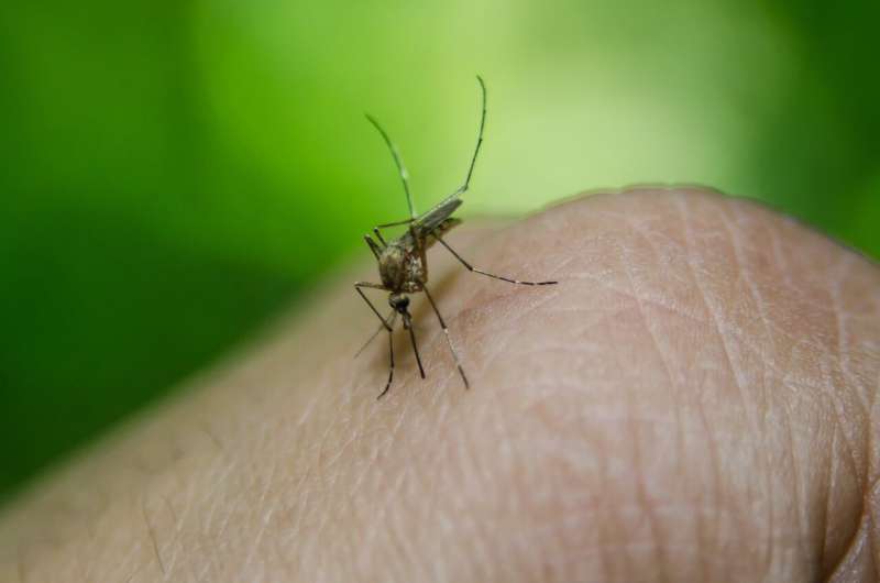 El condado de Florida informa su séptimo caso de malaria contraída localmente