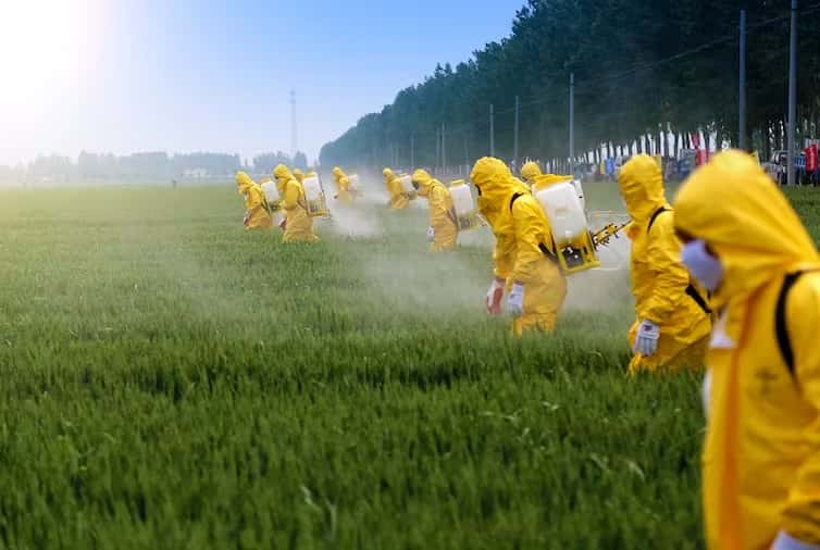 Pesticidas y párkinson: una conexión fuera de toda duda