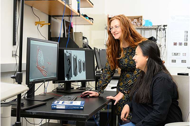 Los investigadores desarrollan un modelo 3D para tratar mejor los trastornos neurológicos