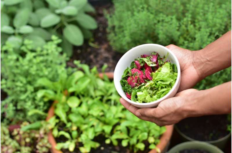 La horticultura puede mejorar los resultados de salud de los supervivientes del cáncer, según un estudio