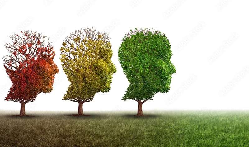 Un equipo de investigación identifica un nuevo objetivo de tratamiento para la enfermedad de Alzheimer