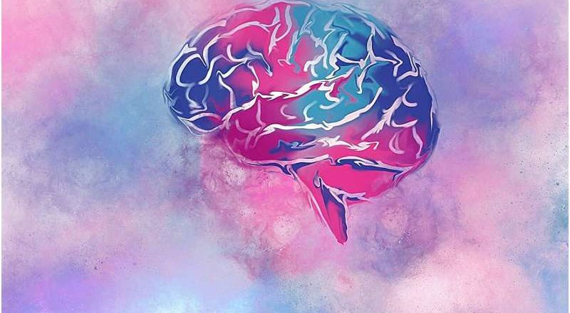 12 preguntas que debe hacerse a usted mismo y a su médico para mantener la salud cerebral