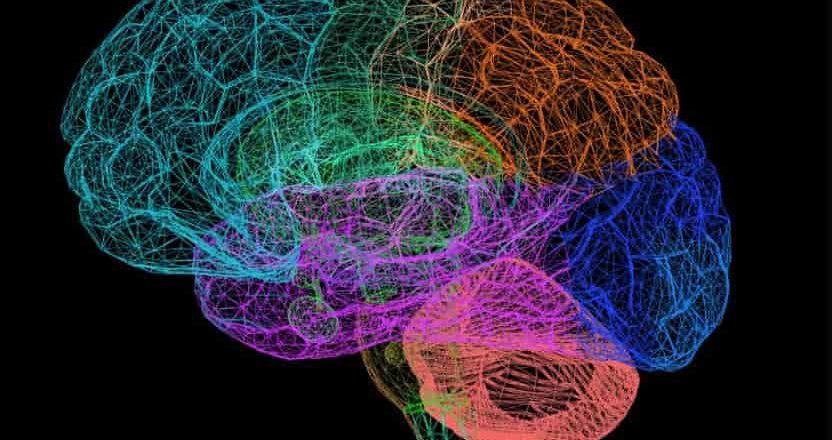 Descubren que el cerebro crea mapas más sofisticados de lo que se creía para orientarnos y memorizar