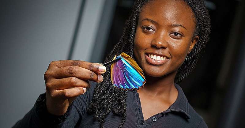 Las alas de mariposa inspiran una nueva técnica de imágenes para el diagnóstico del cáncer