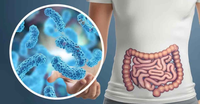 Una nueva terapia con virus podría eliminar bacterias dañinas sin alterar la flora intestinal