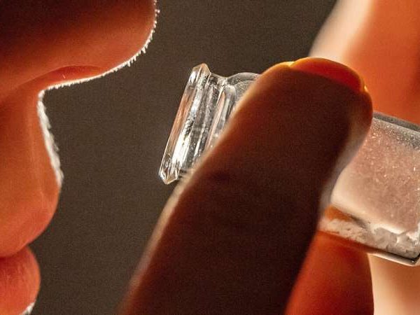 Un léxico aromático: una completa base de datos de fragancias ofrece información sobre la percepción humana de los olores