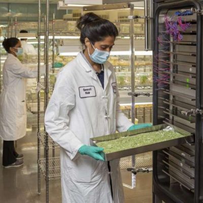 Los medicamentos comúnmente recetados para la presión arterial alta tienen efectos secundarios inesperados