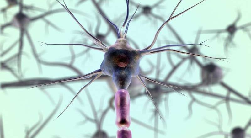 Una prueba cutánea podría mejorar el diagnóstico de enfermedades neurodegenerativas debilitantes