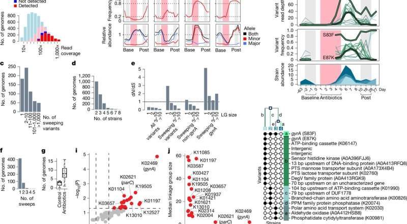 El uso de antibióticos a corto plazo se asocia con una resistencia duradera en las bacterias intestinales