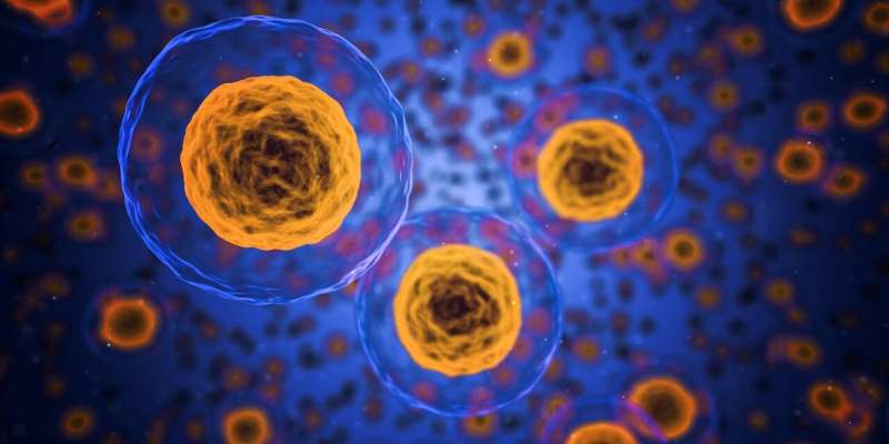 La terapia celular para pacientes con esclerosis lateral amiotrófica muestra resultados prometedores en ensayos con humanos