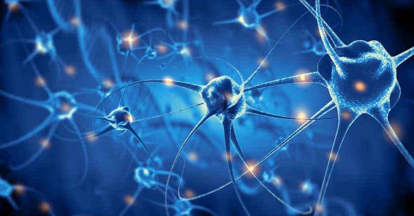 Descubren un mecanismo que puede ayudar a detectar el Alzheimer en su etapa más temprana