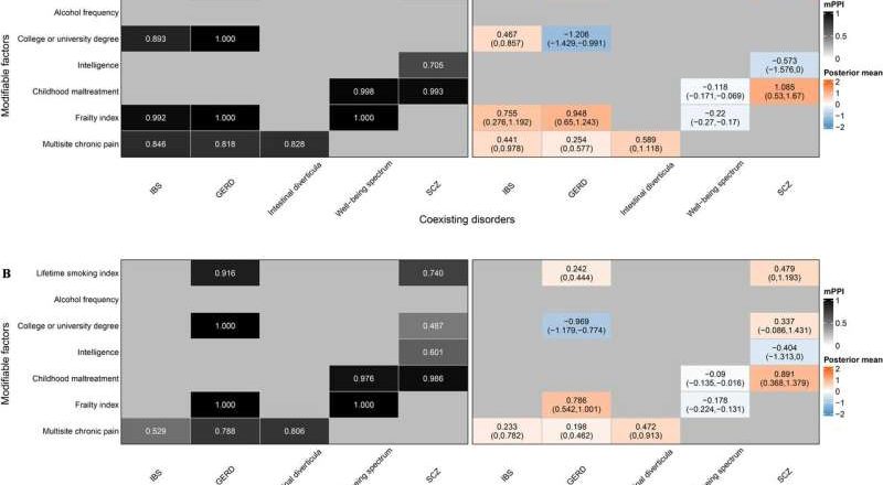 El dolor crónico y el bienestar mental se vinculan con el riesgo de SII: un estudio genético identifica factores modificables