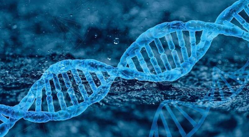 La terapia genética en investigación ofrece a los niños con un trastorno inmunológico poco común una nueva oportunidad de vida