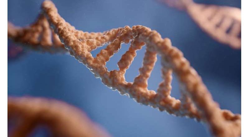 Un estudio de todo el genoma identifica dos nuevos genes de cáncer de mama en mujeres negras de Sudáfrica