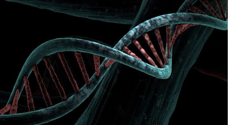 Expertos instan a normas más estrictas para la donación de esperma tras la transmisión de un gen vinculado al cáncer a los niños