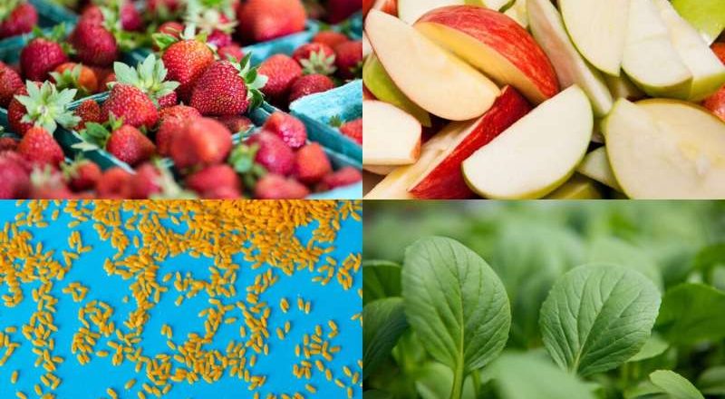 La ingesta de carbohidratos de alta calidad y fibra dietética en la mediana edad se relaciona con una mejor salud en las mujeres mayores