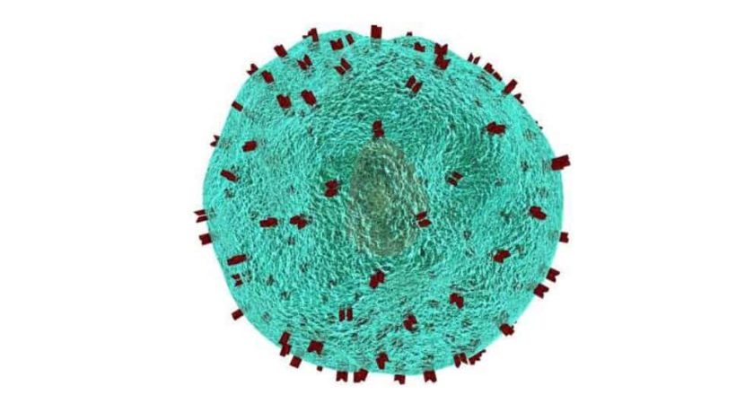 Qué es la terapia CAR-T y cómo entrena al sistema inmune para combatir el cáncer