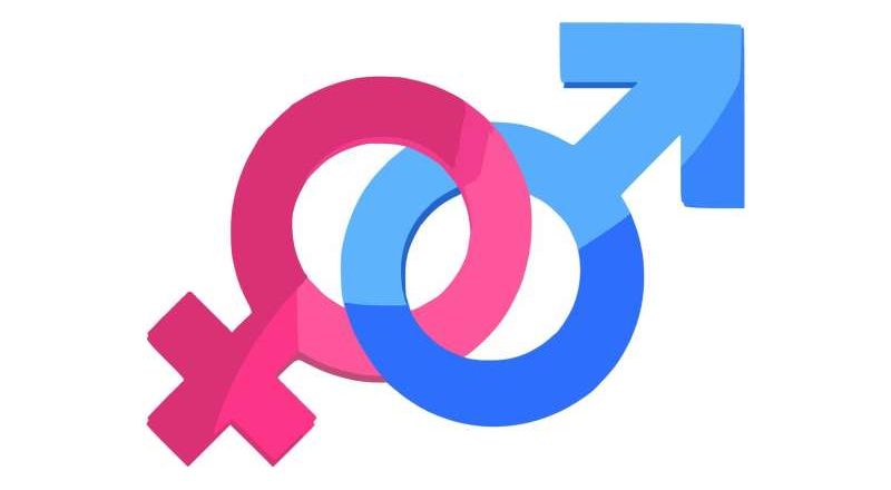 Un nuevo estudio arroja luz sobre las diferencias de salud entre sexos