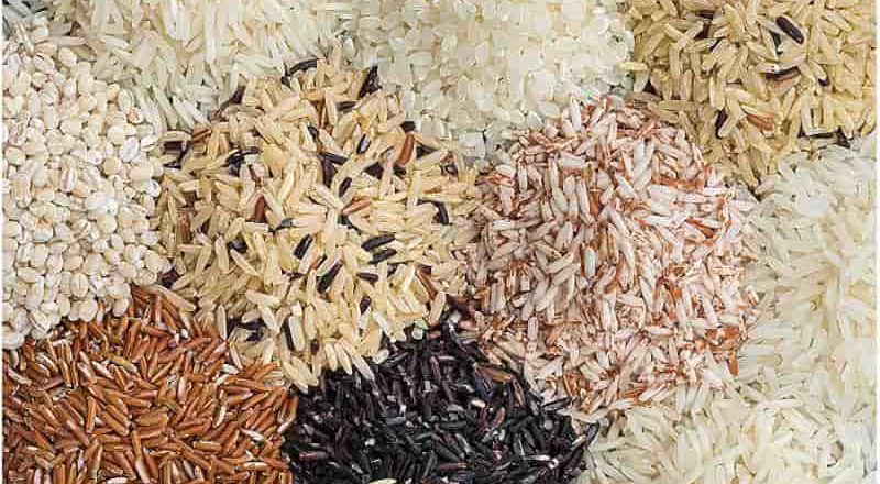 Nuevo informe halla metales tóxicos en todas las muestras de arroz