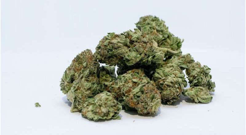 El consumo de cannabis alcanza un nuevo récord entre los adultos mayores
