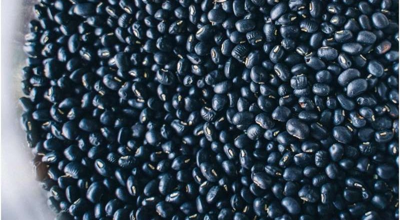 Un estudio revela que una taza diaria de frijoles mejora la salud cardíaca y metabólica.