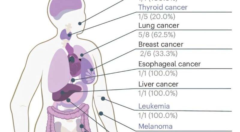 Un análisis de sangre detecta múltiples tipos de cáncer a través del ADN libre de células