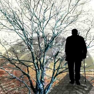 Un estudio a largo plazo vincula la salud vascular en la mediana edad con el riesgo posterior de demencia